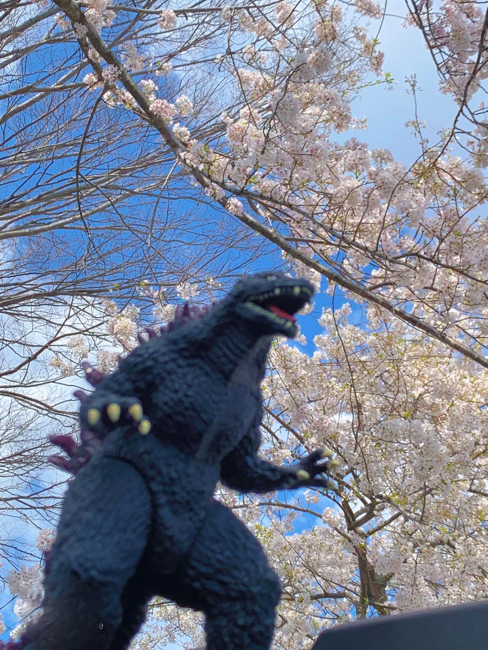 Japanese Composers in Bloom on “The Lost Chord”