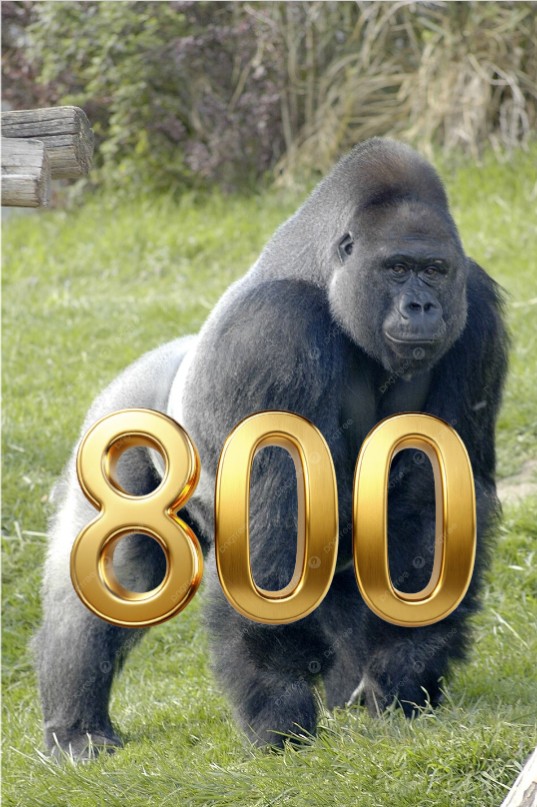 Celebrating 800 followers with Richard Arnell’s “Gorilla” Symphony