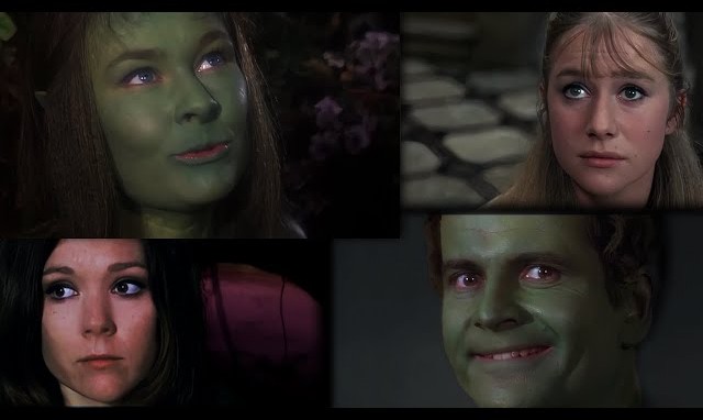 A Dream to Some… A Nightmare to Others!