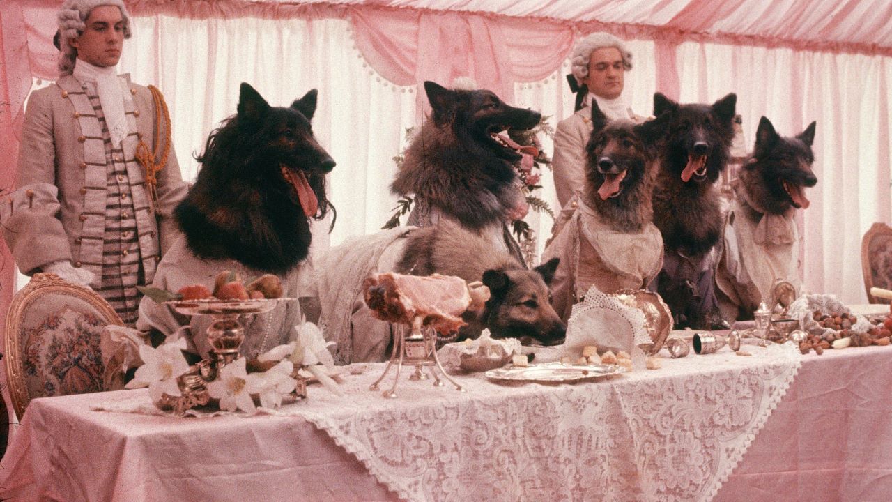 Wolf Pack: Friends and Associates of Wolfgang Amadeus Mozart on “The Lost Chord”