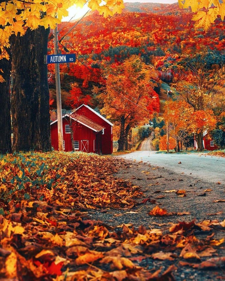 Welcome, Autumn!